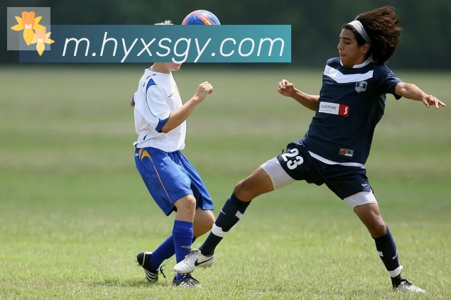 华体网页版登录入口服务体系