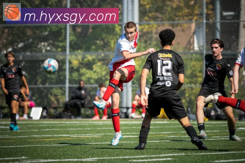 华体网页版登录入口APP 封面图