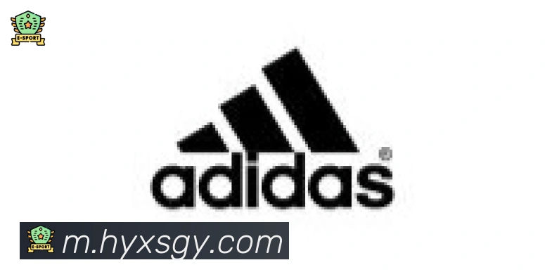 华体网页版登录入口合作伙伴