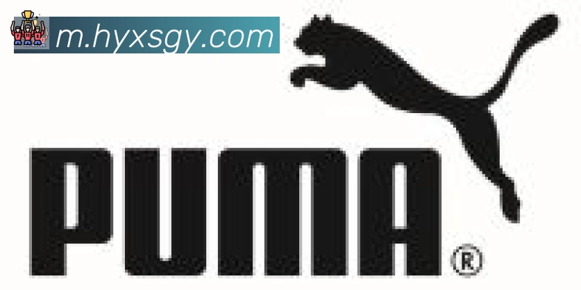 华体网页版登录入口合作伙伴