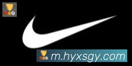 华体网页版登录入口合作伙伴